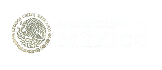 Gobierno de México