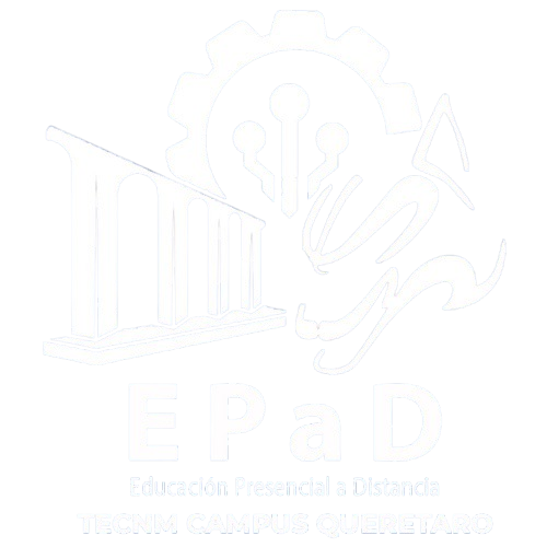 Modalidad Mixta