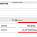 cons_derechos_imss