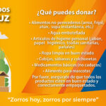 slider_centro_acopio_veracruz